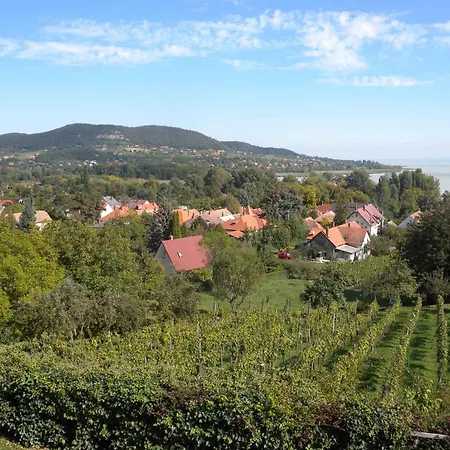 Badacsonytomaj/balaton 20244 *
